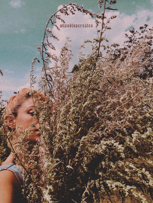 ᛟ Mugwort ~ The Dreamweaver’s Herb