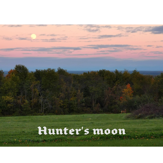 Hunter's moon The Offbeat Runars